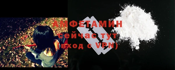 дурь Сатка