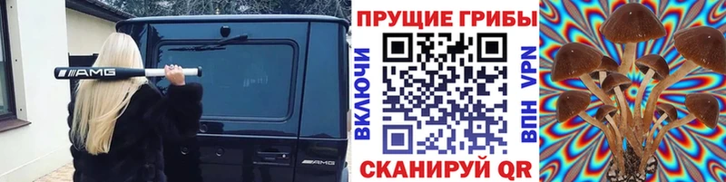 Галлюциногенные грибы GOLDEN TEACHER  где купить   Дудинка 